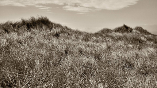 Dunes