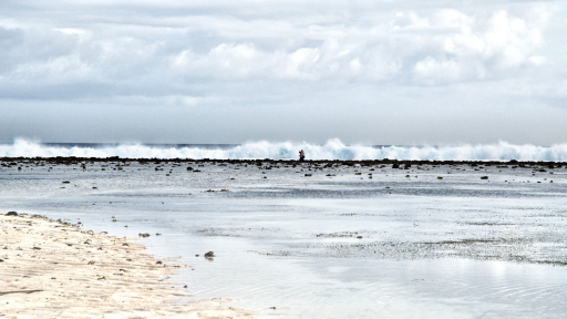 Barrière de corail