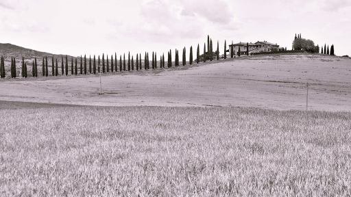 Paysage de Toscane