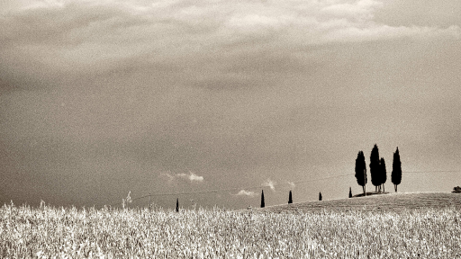 Photo minimaliste Noir et Blanc