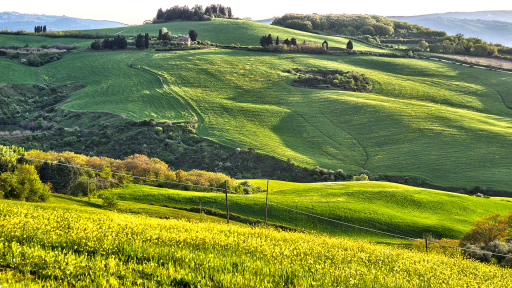 Paysage de Toscane