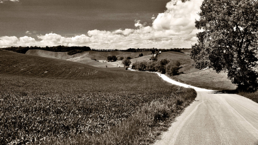 Paysage de Toscane