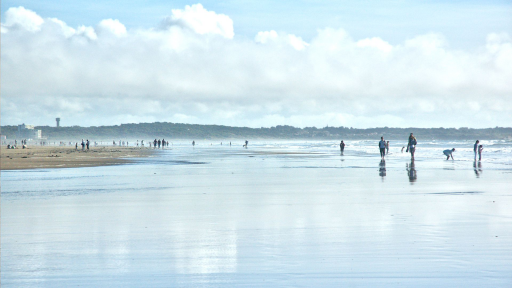 Marée basse