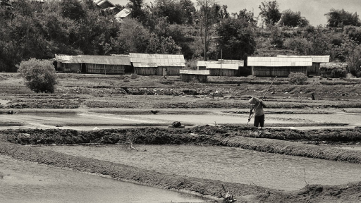 Marais salants