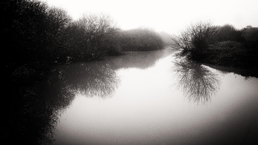 Brouillard sur les marais