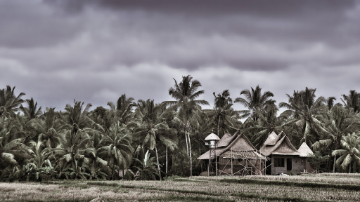 Ferme et cultures