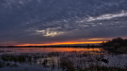 Crépuscule au Marais