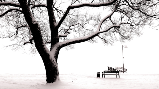 Suède sous la neige