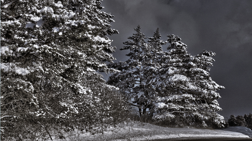 Stockolm sous la neige